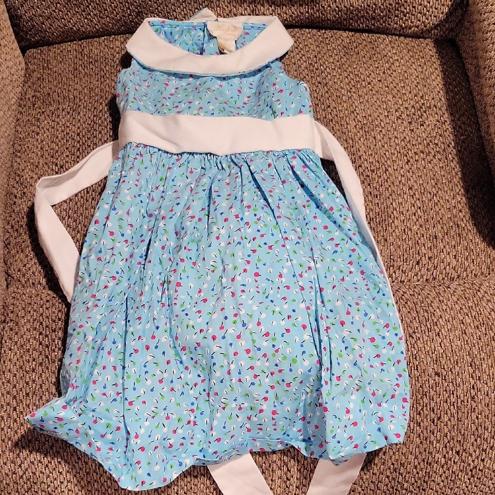 Rosalina Blue Floral Dress with White Collar